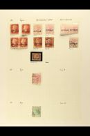 1880-1949 MINT & USED COLLECTION On Leaves, Inc 1880 ½d Mint, 1d (x6, One Used) & 2½d (x5,... - Andere & Zonder Classificatie