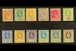 1904-05 Complete Definitive Set, SG 277/288, Fine Mint, Most Values Never Hinged Incl The 1r50 And 2r25. (12... - Ceylon (...-1947)