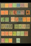 PRIVATE AIR COMPANIES. 1927-1934 Mint & Used Group On Stock Cards, Inc CONDOR 1927 Set Mint Inc 3000r (x2)... - Autres & Non Classés