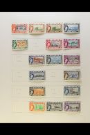 1953-1975 COMPREHENSIVE SUPERB MINT & NHM COLLECTION On Leaves, Many Stamps Are Never Hinged, All Different,... - Sonstige & Ohne Zuordnung