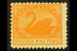 WESTERN 1902 9d Yellow Orange, Perf 11, SG 133, Good Mint With Toned Gum And Pulled Perf. Cat £180 For More... - Sonstige & Ohne Zuordnung