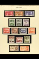 1937-52 KGVI FINE MINT COLLECTION Complete On Dedicated Printed Album Pages. Inc 1937 Coronation Set, 1938-51... - Autres & Non Classés