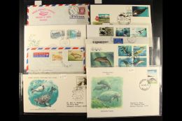 SEA CREATURES 1960's To 1990's All Different World Collection Of Covers And Cards Featuring A Good Range Of Seals,... - Non Classificati