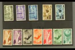 FOOTBALL ITALIAN COLONIES - 1934 World Cup (postage And Air) Complete Set, Sass S12, Very Fine Mint. Cat €720... - Ohne Zuordnung