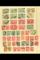 BRITISH AFRICA QV TO KGV USED RANGES ON OLD ALBUM PAGES Duplication And Mixed Condition, But Can See Many Useful... - Altri & Non Classificati