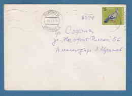 213266 / 1985 - 5 St. The Rock Dove Or Rock Pigeon ( Columba Livia ) BURGAS - SOFIA , Bulgaria Bulgarie Bulgarien - Covers & Documents
