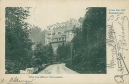 DE BUHLERTHAL / Schwarzwaldhotel Bärenstein / - Bühlertal