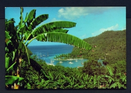 ST LUCIA  -   Marigot Bay  Unused Postcard - Saint Lucia