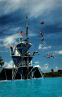 Cypress Gardens - Thrill To The World Champion High-diving Team - Plongeon