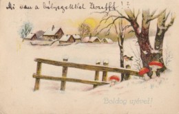 CPA MUSHROOMS, BIRD, VILLAGE WINTER LANDSCAPE - Pilze