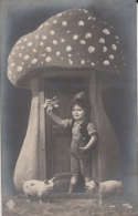 CPA MUSHROOMS, CHILDREN, PIGS - Pilze