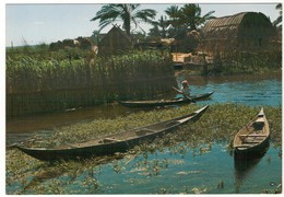 Cp-Iraq - Southern Marshes - Iraq