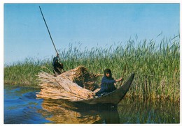 Cp-Iraq - Southern Marshes - Iraq