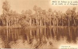 PARAGUAY - MONTE DE PALMAS EN LA ORILLA DE UN RIACHO EN EL PARAGUAY EXPLORATEUR DE BOCCARD - Paraguay