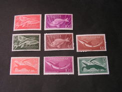 == Spanien Kolonial Lot  ** MNH Fische Und Schildkröte Sahara Usw. - Sahara Espagnol