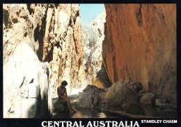 Standley Chasm, Central Austraia, Northern Territory - NT Souvenirs NTS 161 Unused - Ohne Zuordnung