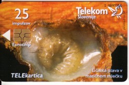 SLOVENIA SLOVENIJA PHONECARD   2001 LICINKA PLAVA V MATICNEM MLECKU  CARNIOLAN HONEY BEE BEES  TELEKOM CAT.NO. 401 - Slovenia
