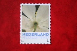 Persoonlijke Postzegel Flower Bloem Fleur Blume Bosanemoon  2016 POSTFRIS / MNH ** NEDERLAND / NIEDERLANDE / NETHERLANDS - Unused Stamps