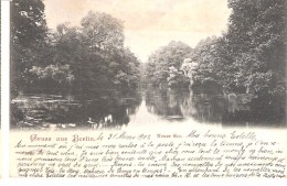 Gruss Aus Berlin-1902- Neuer See Im Tiergarten - Tiergarten