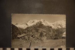 CP, Arbres En Fleurs Au Pied Du Mont Blanc - Arbres