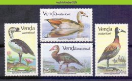 Naa2141 FAUNA VOGELS GANS GANZEN GOOSE GEESE WATERFOWL BIRDS VÖGEL AVES OISEAUX VENDA 1987 PFMNH # - Ganzen