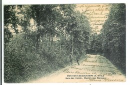 MONTIGNY BEAUCHAMP - Bois Des Vernis - Chemin Des Mareyeux - Beauchamp