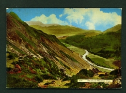WALES  -  Dolgellau  Precipice Walk  Used Postcard - Merionethshire