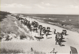 Kühlungsborn - S/w Strand Am Zeltplatz - Kühlungsborn