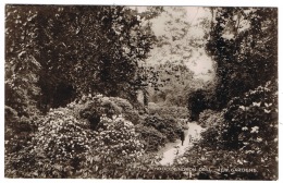 RB 1100 - Early Real Photo Postcard - Rhododendron Dell - Kew Gardens London - London Suburbs