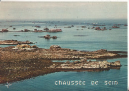 Delcampe - 29 Ile De Sein La Chaussee - Ile De Sein