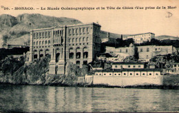 MONACO - Le Musée Océanographique Et La Tête De Chien (Vue Prise De La Mer) - Oceanographic Museum