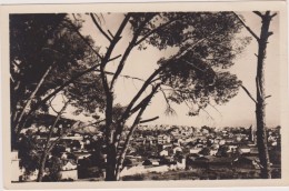 Carte Postale Ancienne,algérie Française,colonie,Maghreb ,BONE,ANNABA,djebel Edough,VUE SUR LA VILLE,maison - Annaba (Bône)