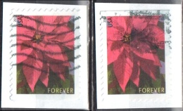 United States 2013 Poinsettia - Sc # 4816 - Mi 5007 BD - Used - Used Stamps