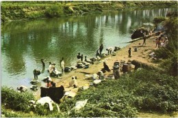 ANGOLA - LAVADEIRAS - LAVANDIERES WASHERWOMEN (2 SCANS) - Angola