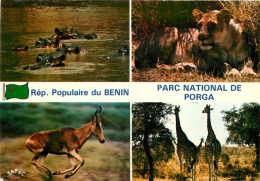 CPSM Benin-Parc National De Porga     L2136 - Benín