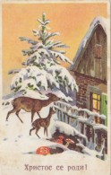 Mushrooms Fungi Champignons Pilz Deer Winter Old Postcard 1934 - Funghi