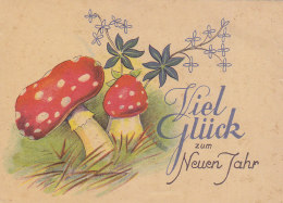 Mushrooms Fungi Champignons Pilz New Year Old Postcard - Mushrooms
