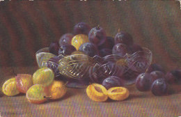 Fruits - Yellow & Blue Plum Pflaume Prune Prugna Old Postcard TSN 1167 - Trees