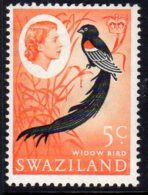 Swaziland QEII 1962-6 5c Definitive, Hinged Mint (BA2) - Swaziland (...-1967)