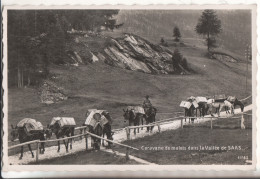 Suisse Caravane De Mulets Dans La Vallee De Saas - Saas Im Prättigau