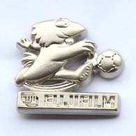 Pin´s Argenté Et Relief FRANCE 98 - FUJIFILM - FOOTIX  - Zamac - Arthus Bertrand - F609 - Arthus Bertrand