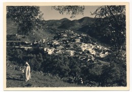 CPSM Photo - MAROC - Vue Générale De MOULAY-IDRISS - Sonstige & Ohne Zuordnung