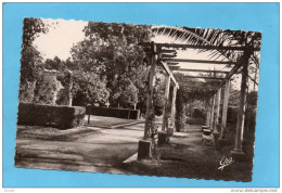 ORLEANSVILLE*le Jardin Des Tout Petits -  -années  -+30-40 édition Photo Africaine - Chlef (Orléansville)