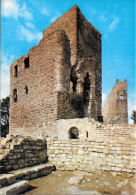 La Route Des Cinq Châteaux - Le Wahlenbourg - Ruines Médiévales Des Hauts D'Eguisheim - Wintzenheim