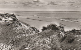 Langeoog - S/w Dünen Und Strand - Langeoog