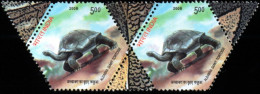 ODDITIES ON STAMPS-HEXAGONAL PAIR-ALDABRA GIANT TURTLES-INDIA-2008-SCARCE-MNH-TP-475 - Oddities On Stamps
