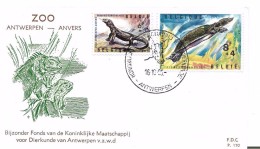 FDC Belgique :Zoo D´Anvers - 1961-1970