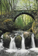 Petite Suisse Luxembourgeoise - La Pittoresque Cascade Du Schiessentümpel Au Müllerthal - Muellerthal