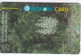 Bulgaria, Betkom, B053a, Flowers, Spurred Helleborine, 2 Scans.  39BULH - Bulgarien