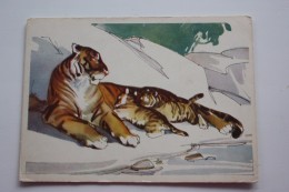 OLD USSR Postcard  - TIGER AND IT'S CUB By Alekseev - 1964 - Tigres